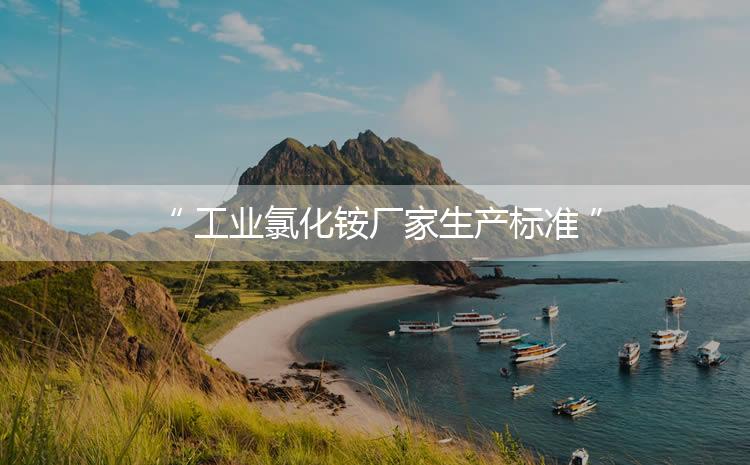 工業(yè)氯化銨廠家生產(chǎn)標(biāo)準(zhǔn)，生產(chǎn)過(guò)程進(jìn)行嚴(yán)密的監(jiān)控！